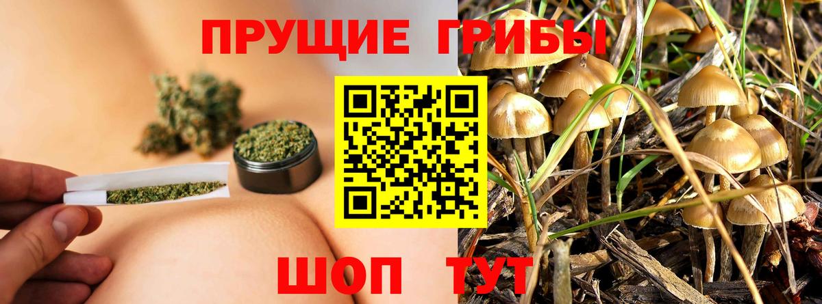 Галлюциногенные грибы MAGIC MUSHROOMS Кстово