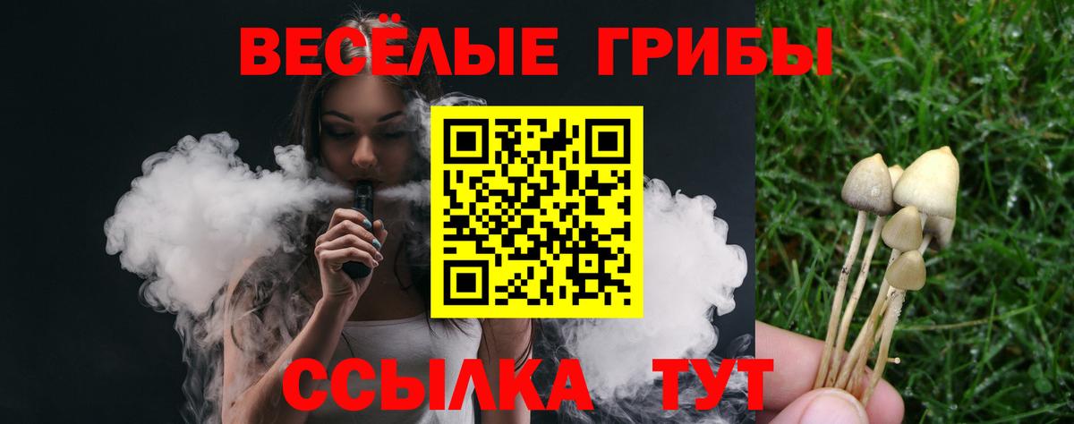 Галлюциногенные грибы MAGIC MUSHROOMS  Вход с VPN  Псилоцибиновые грибы Psilocybe  Кстово 